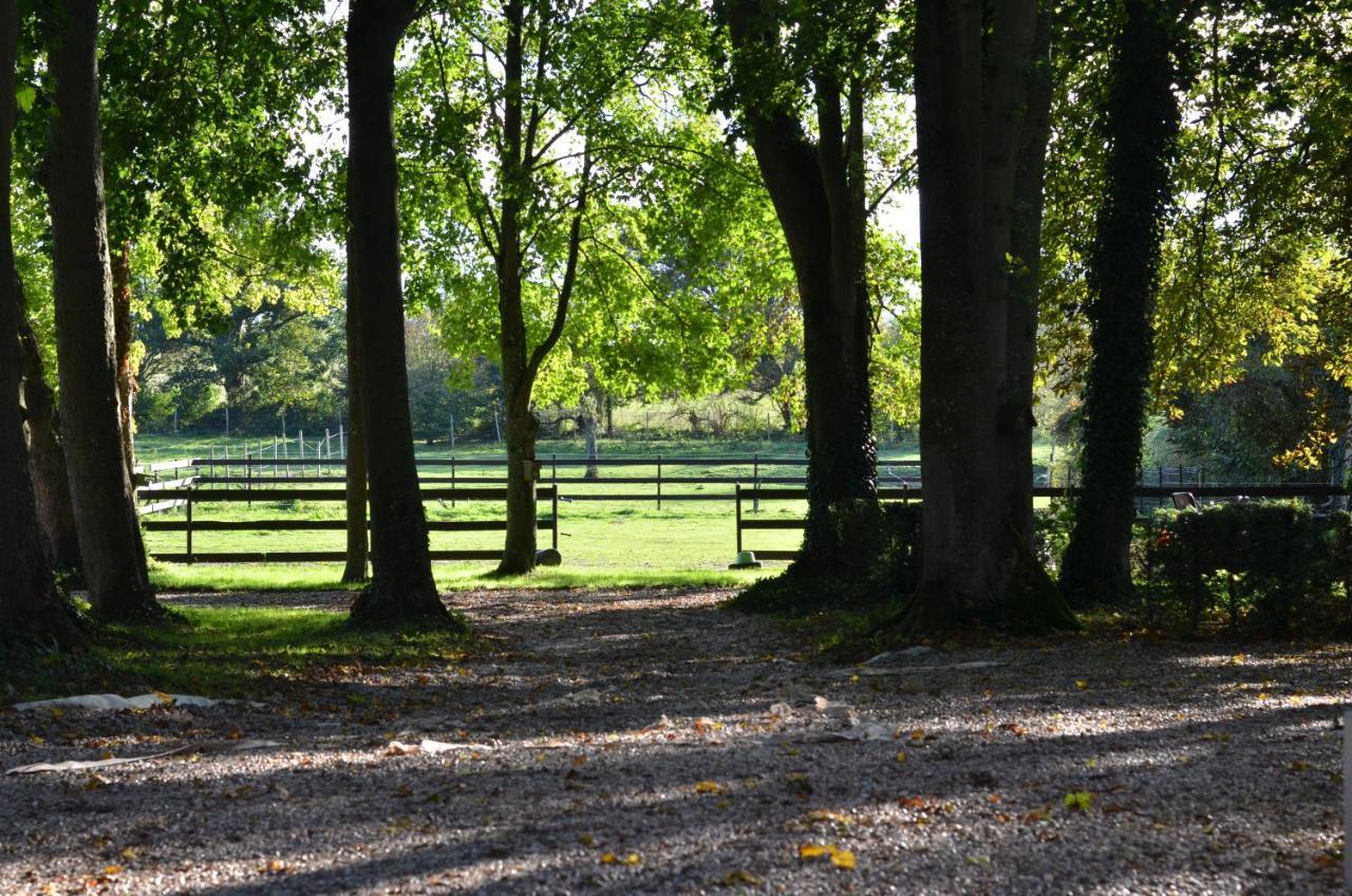 B&B La Tour Blanche Forest-Montiers Exterior photo